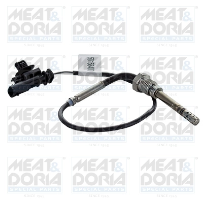 Sensor, exhaust gas temperature
